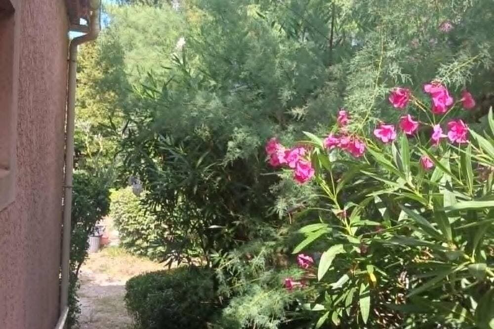 Foto 13 von 28: Die Palms & Lauriers Rosen, Lauriers Rosen