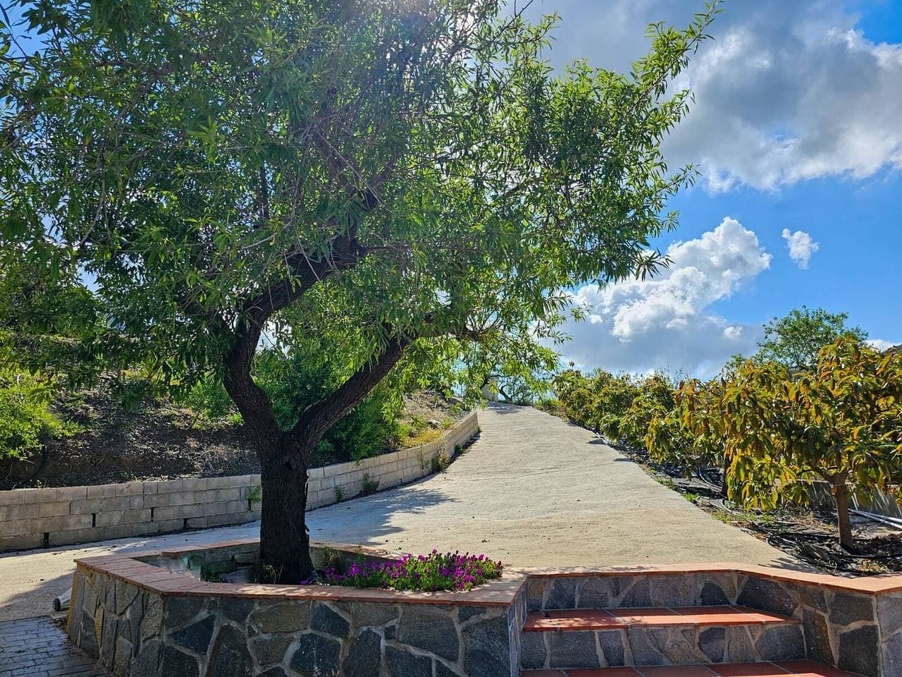 Foto 5 von 28: Ferienhaus "Cortijo Airen" mit Pool, Bergblick und WLAN