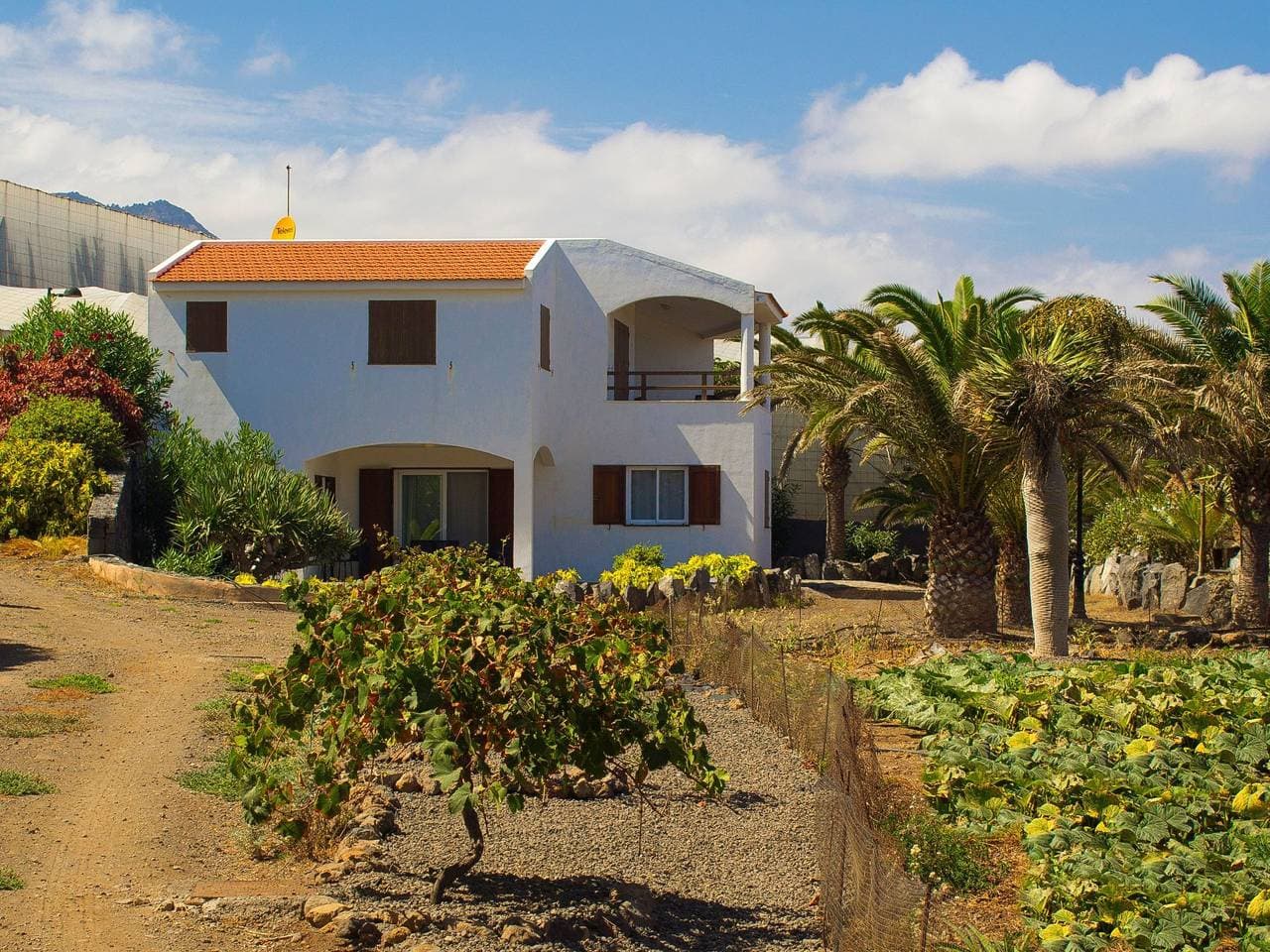 Haus am Meer in Garachico 1