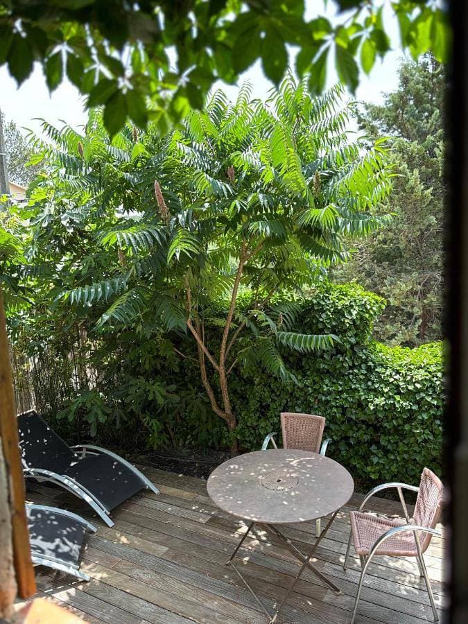 studio en provence verte 1