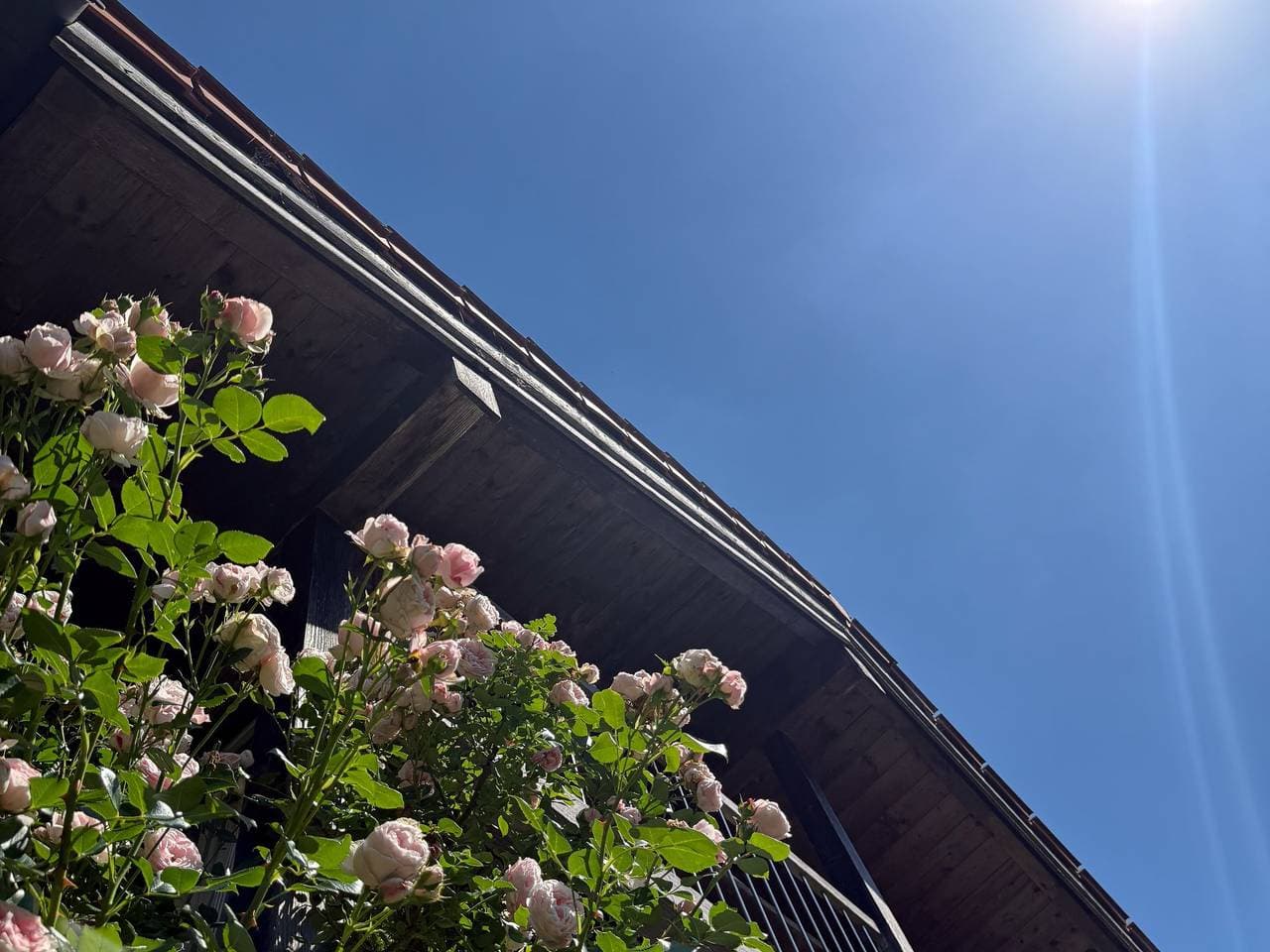 Foto 6 von 23: Haus am Bach - Ferienwohnung Achenblick