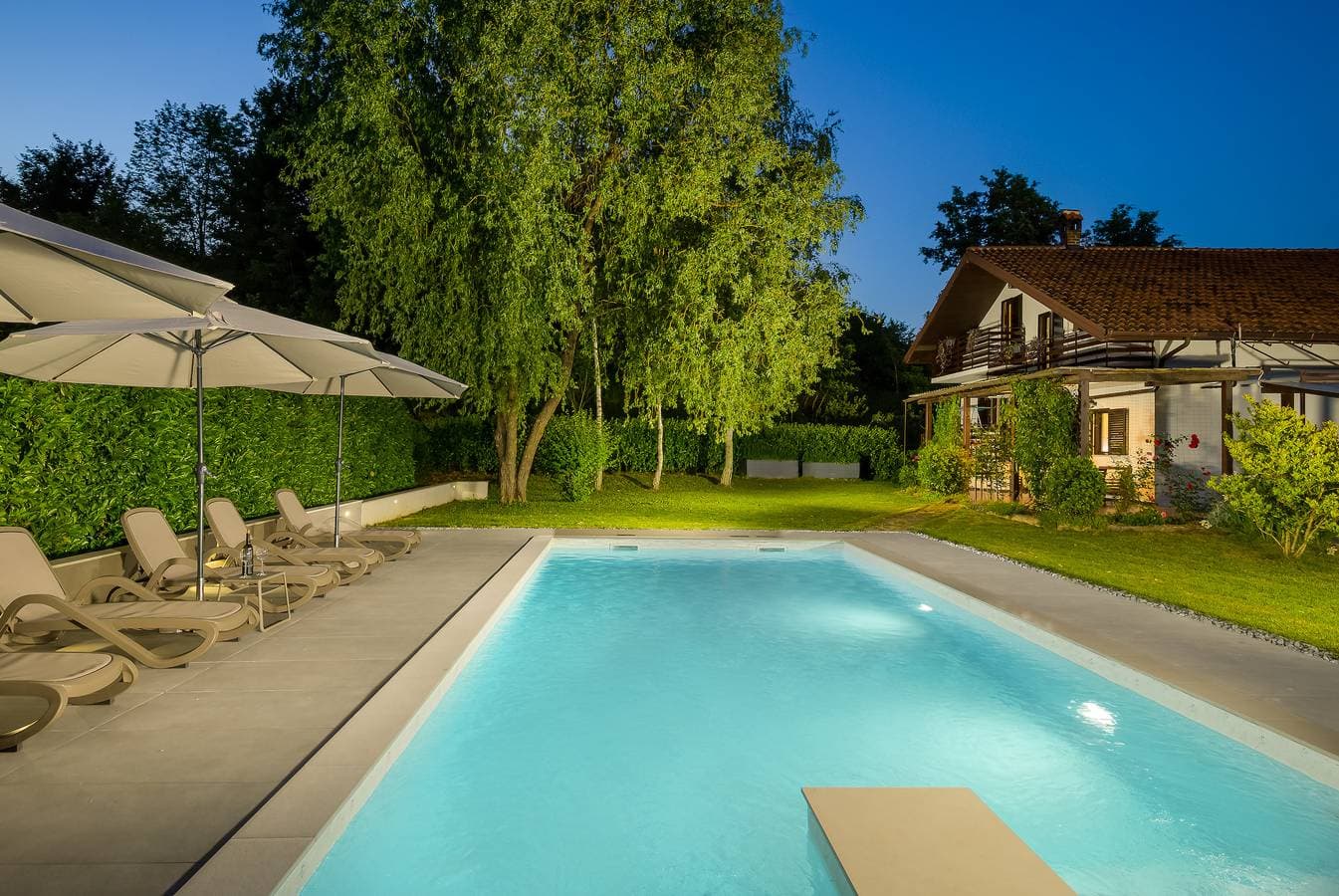 Villa Bella Cerovlje 1