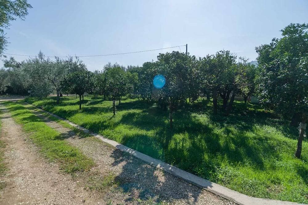 Foto 12 von 30: Einzelne Villa mit großer überdachter Veranda im Freien, umgeben von einem wunderschönen Zitronenhain