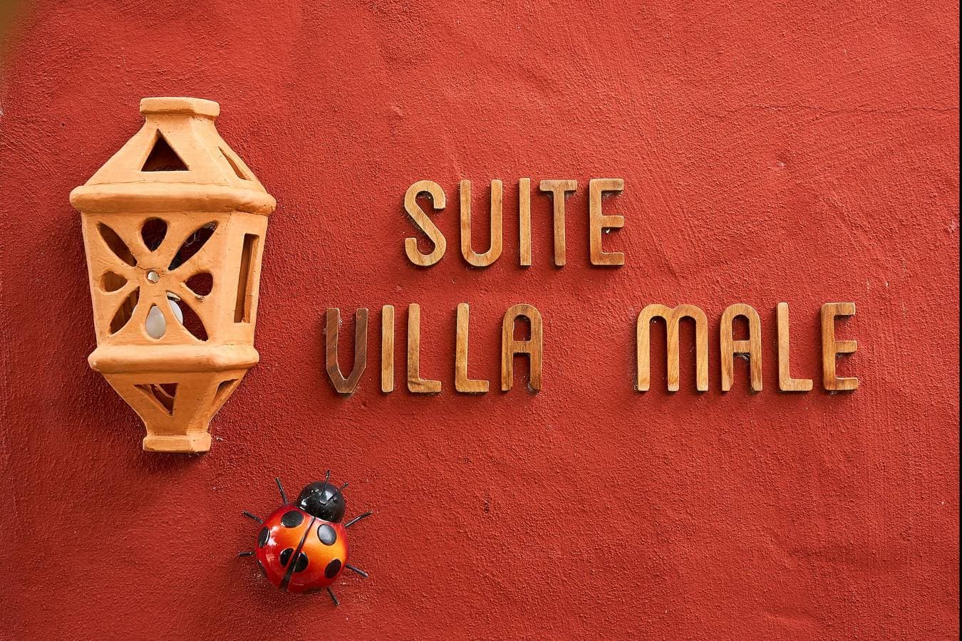 Foto 4 von 48: Villa Male, eine Oase der Ruhe in Los Silos!