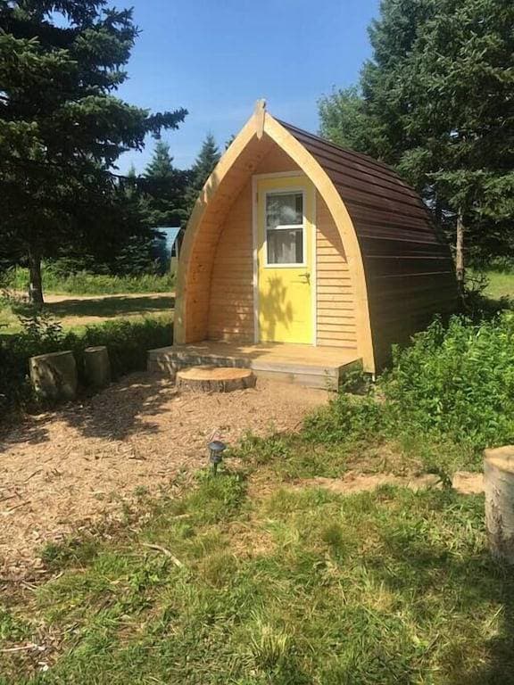 Foto 2 von 6: White Birch Camping Pod at The Spruces
