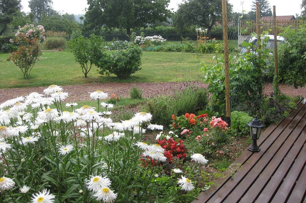 Foto 10 von 22: 40m2 Hütte; 5-Bett, große Terrasse und jadin vor dem Wald von Eu