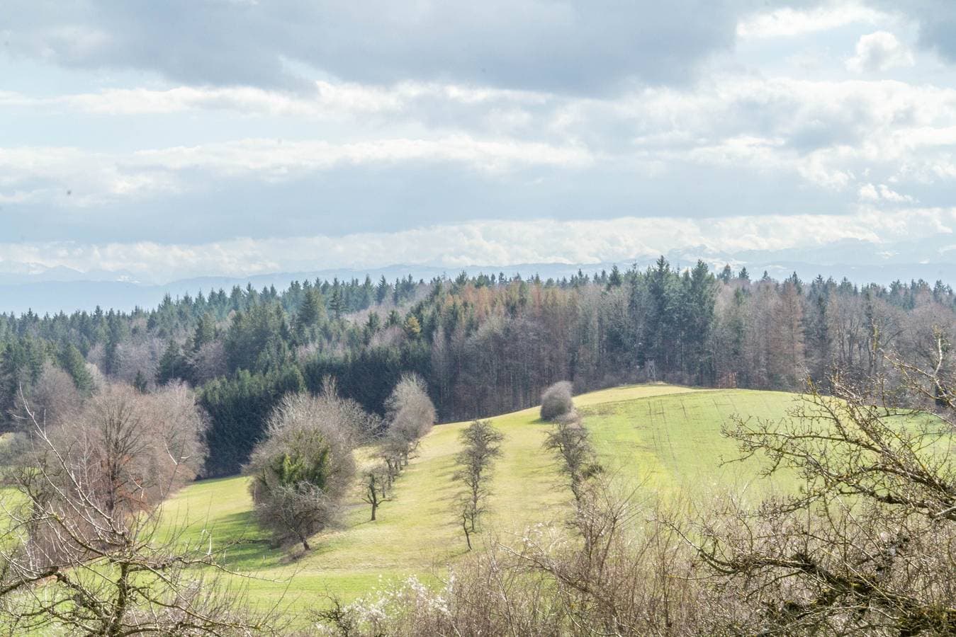 Foto 4 von 50: Wunderschöne Ferienwohnung im Haus Seeblick