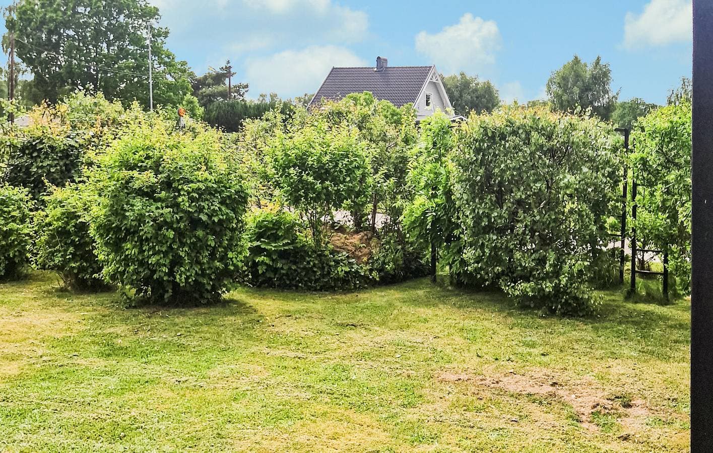 Foto 12 von 26: Ferienhaus für 4 Personen mit Garten