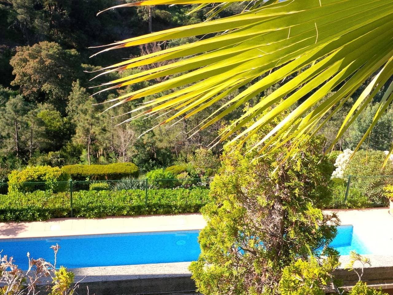 Foto 7 von 34: Les Terrasses de l'Esterel