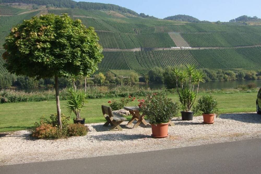 Foto 10 von 24: Moselstrand 2  einmalig schöne Lage direkt an der Mosel,   am Moselradweg      g