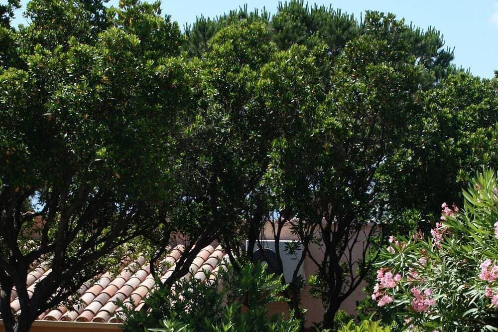 Foto 13 von 30: Klimatisierte Villa, WiFi, Terrasse Panoramablick über die Bucht von Santa Guili