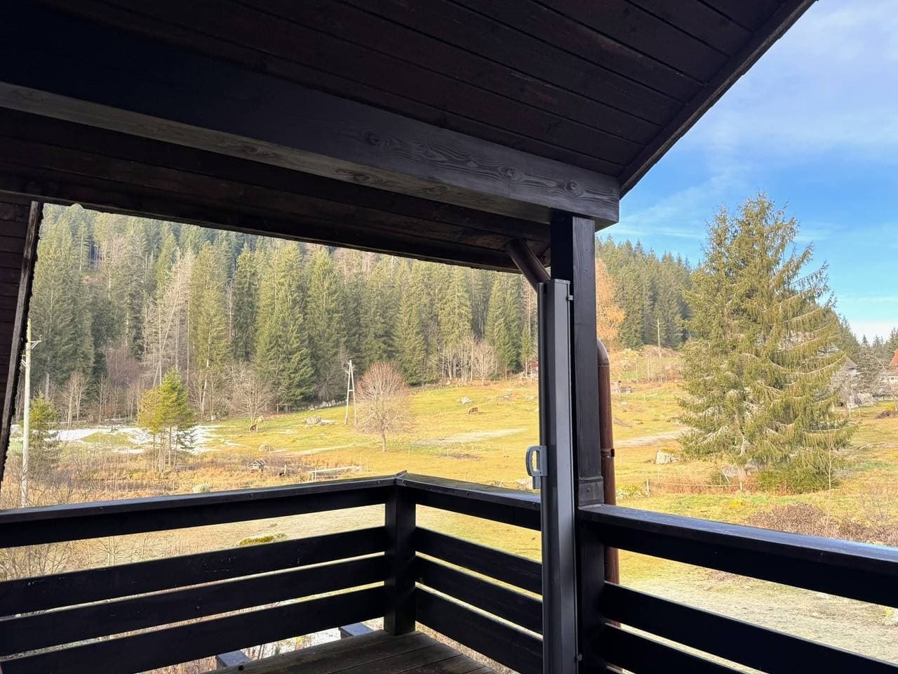 Foto 8 von 29: Gästehaus Seewald- Ferienwohnung 6 "Fichte", Schluchsee, Blasiwald