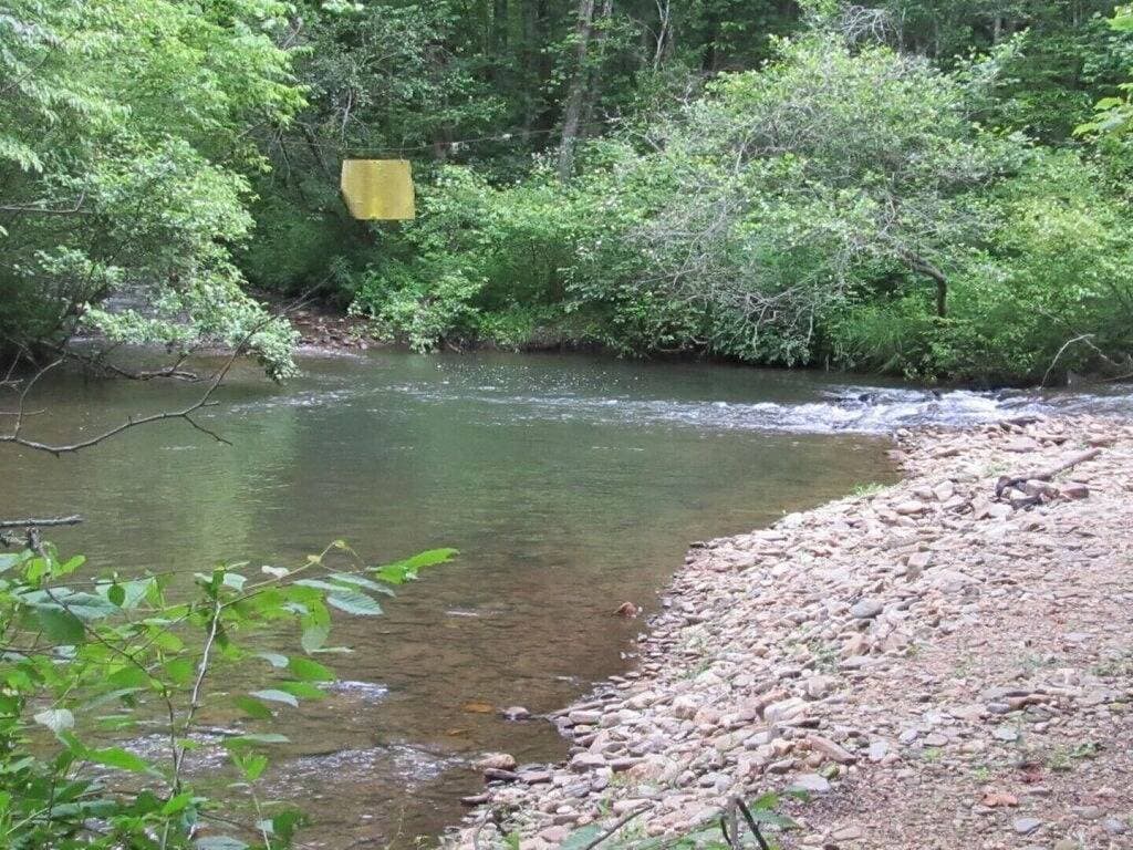 Foto 13 von 25: Hiawassee River Cabin Unit A
