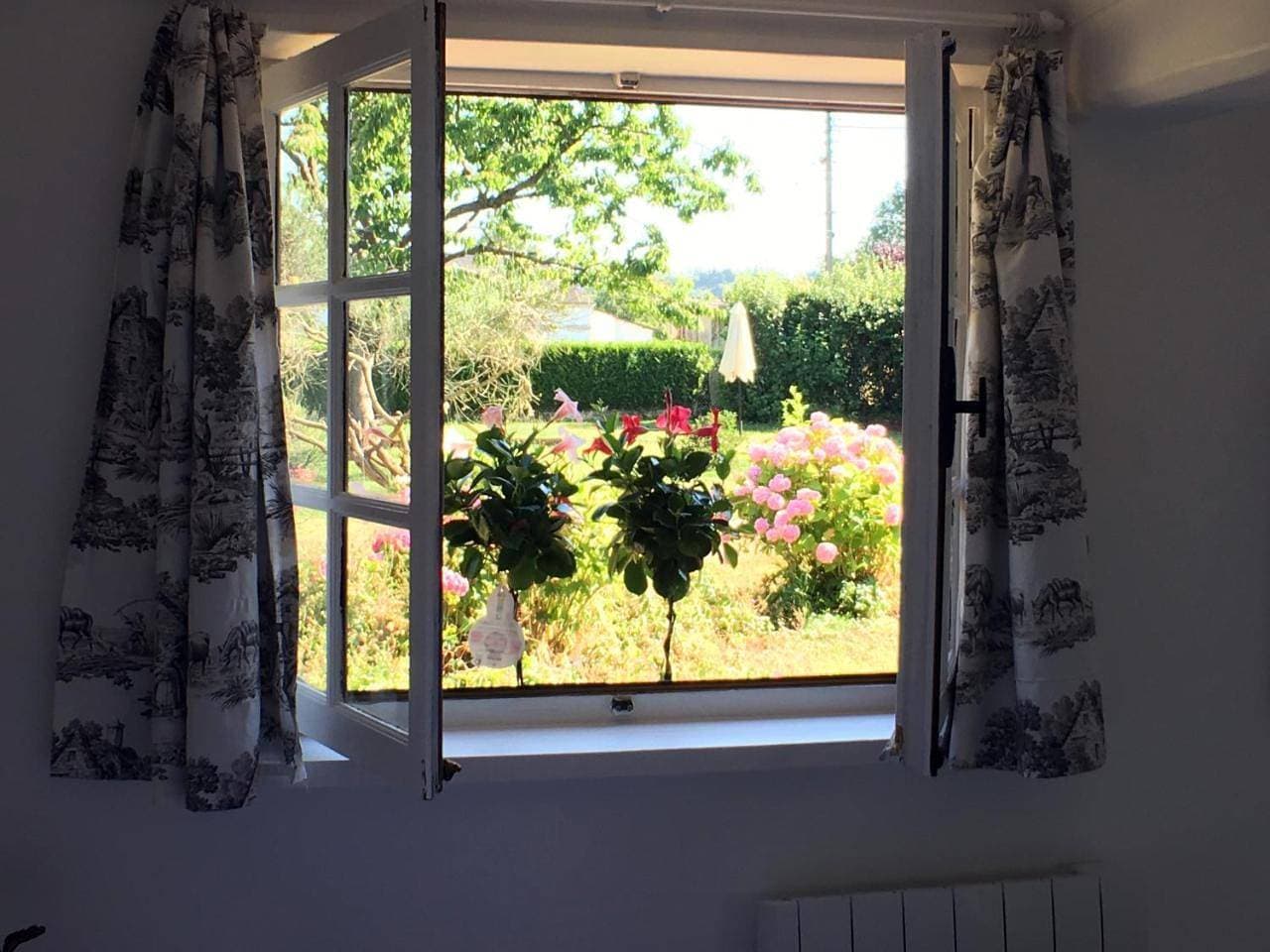 Foto 12 von 105: Standard Queen Room with Garden View