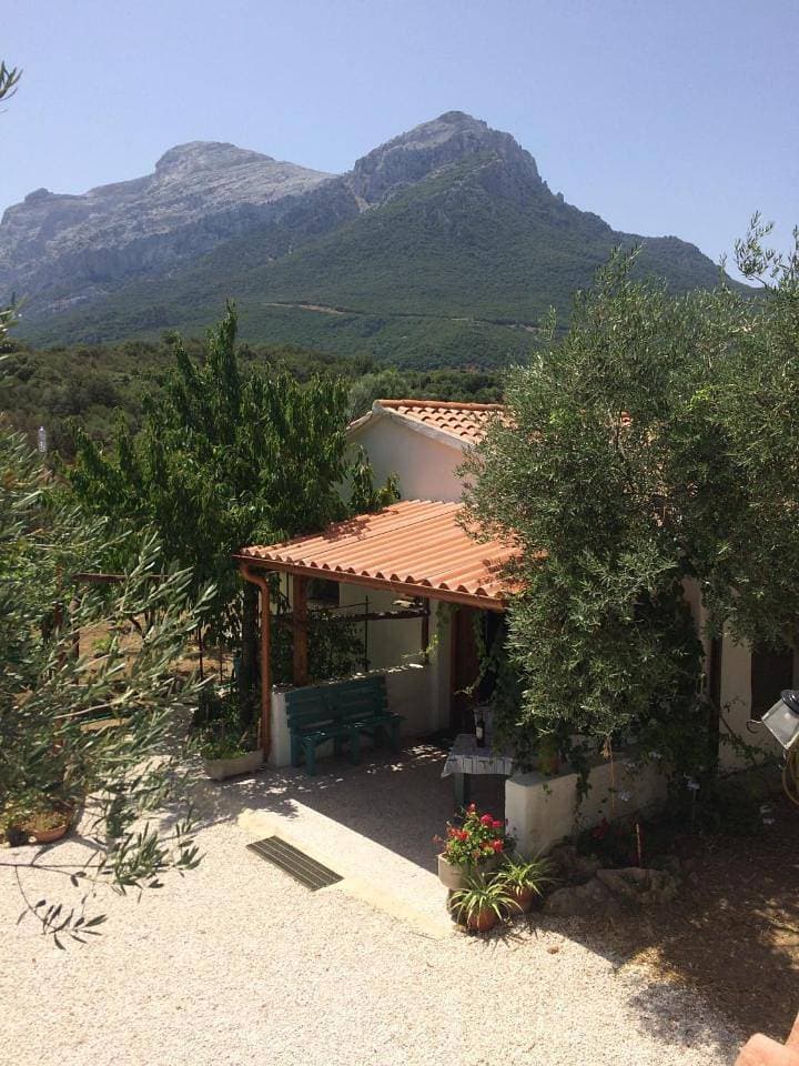 Foto 9 von 20: Holiday Home