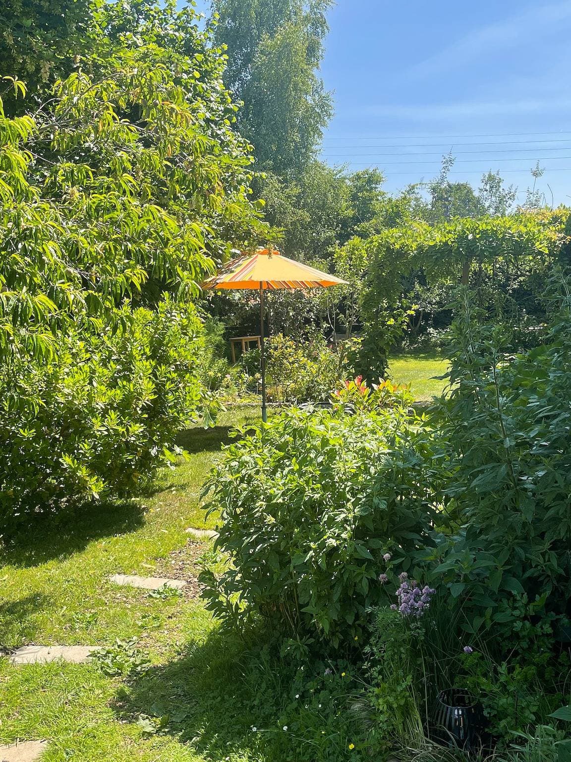 Foto 5 von 31: Nomade la Sapience – Charaktervolles Wohnen im grünen Herzen der Normandie