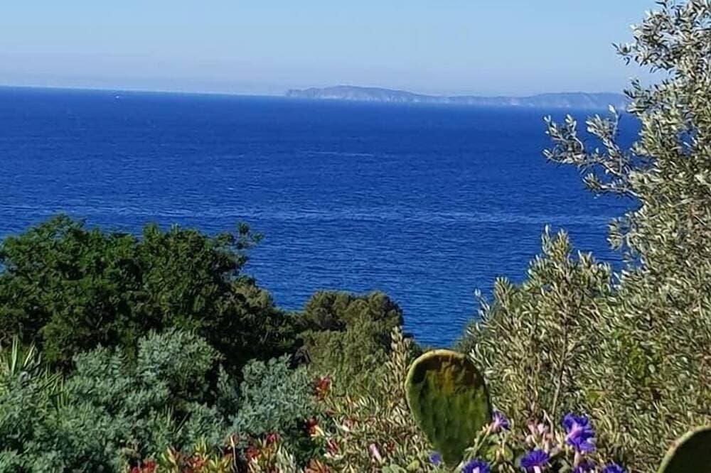 Les Lauriers Roses 2 1