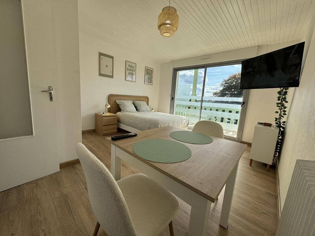 Studio lumineux de 23m avec balcon 1