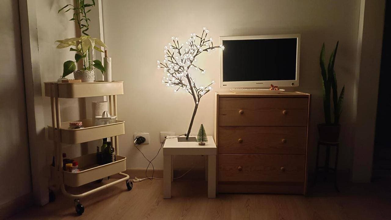 Loft PapaPepe 1