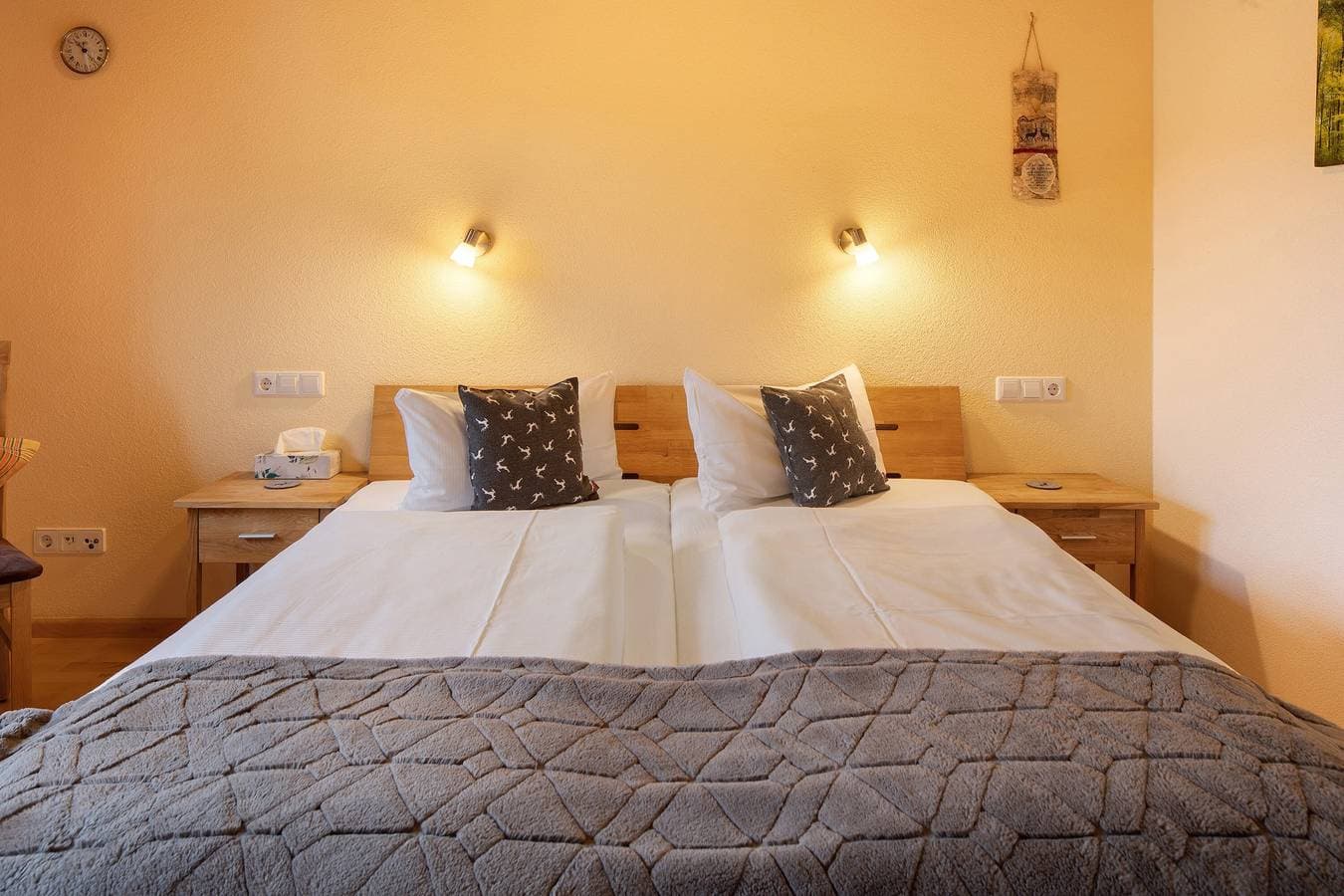 Foto 4 von 22: Gästezimmer Hirschsprung mit Bergblick, privater Terrasse und WLAN