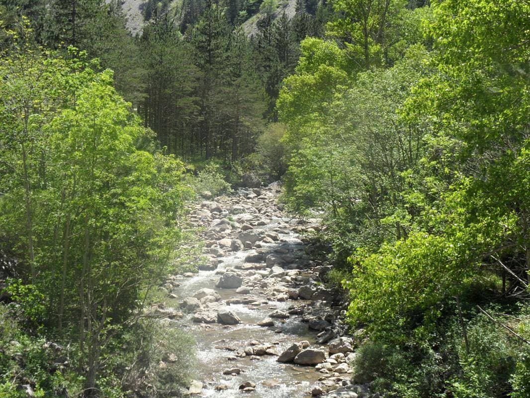 Foto 12 von 21: Le Vallon des Aiguilles