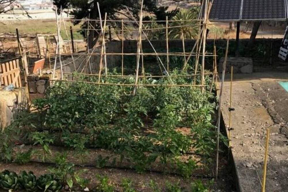 Foto 7 von 20: Bioklimatisches Haus auf dem Land