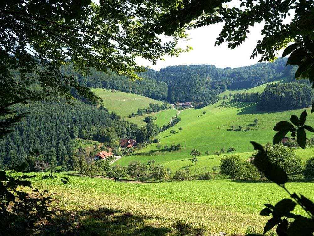Foto 8 von 28: Vogtbenedikthof - Roßstall