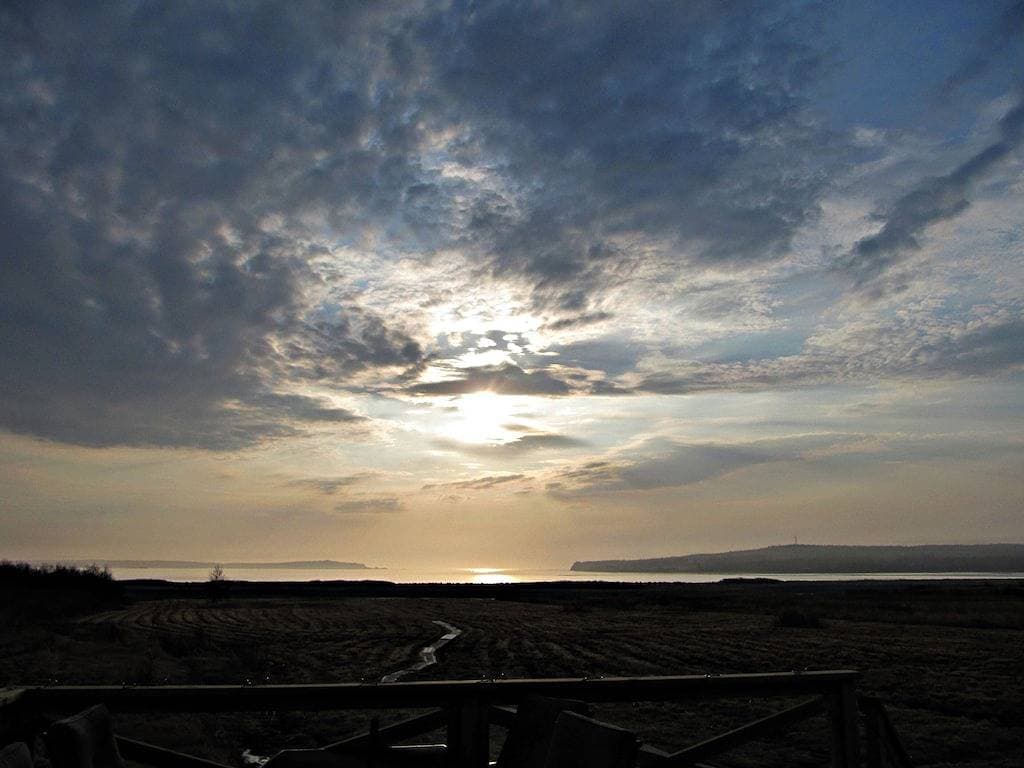 Foto 5 von 50: Picture Perfect ~ Oceanfront ~ Balkon ~ Haustierfreundlich ~ Feuerstelle ~ Art Studio ~ Deck ~ WiFi