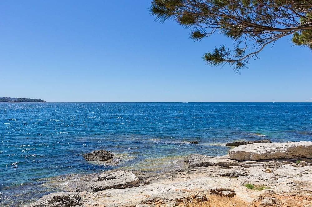 50 Meter zum Strand mit Küche, Parkplatz, Haustiere erlaubt, Garten, Grill 1