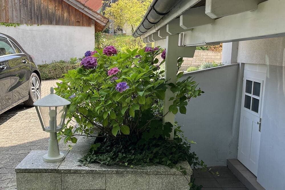 Foto 12 von 25: Apartment A mit Terrasse
