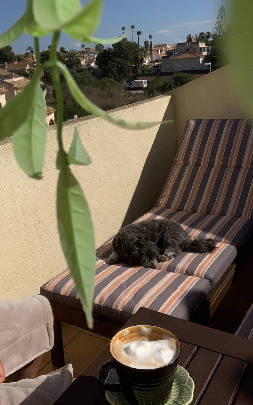 Foto 10 von 26: Charmante ganzjährige Villa mit privatem Solarium, Pool und ideal für Haustierbesitzer