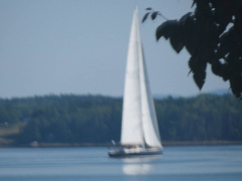 Foto 11 von 48: \"Tranquility Base\" ist ein Ort, an dem Sie sich in der Natur verlieren können.