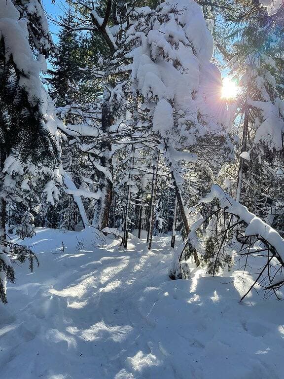 Foto 7 von 38: Tettegouche Blockhaus North Shore Lake Superior mit Sauna