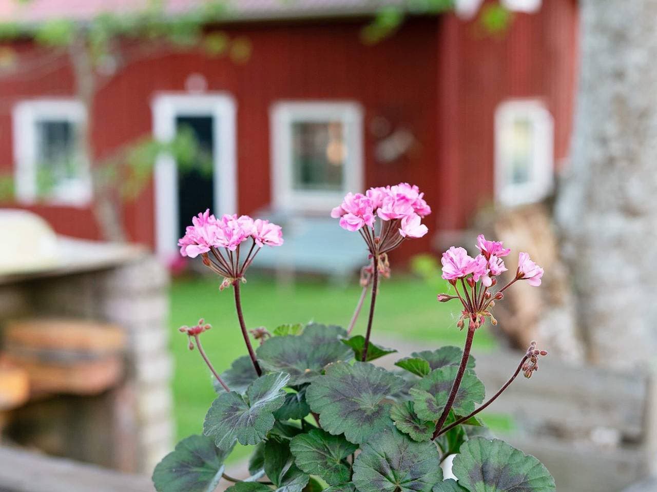 Foto 4 von 31: 2 Personen Ferienhaus in Nässjö