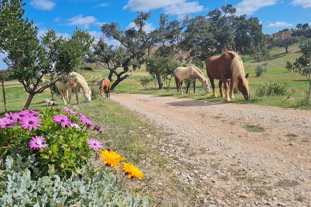 Foto 13 von 29: Romantischer Luxusurlaub in Alentejo