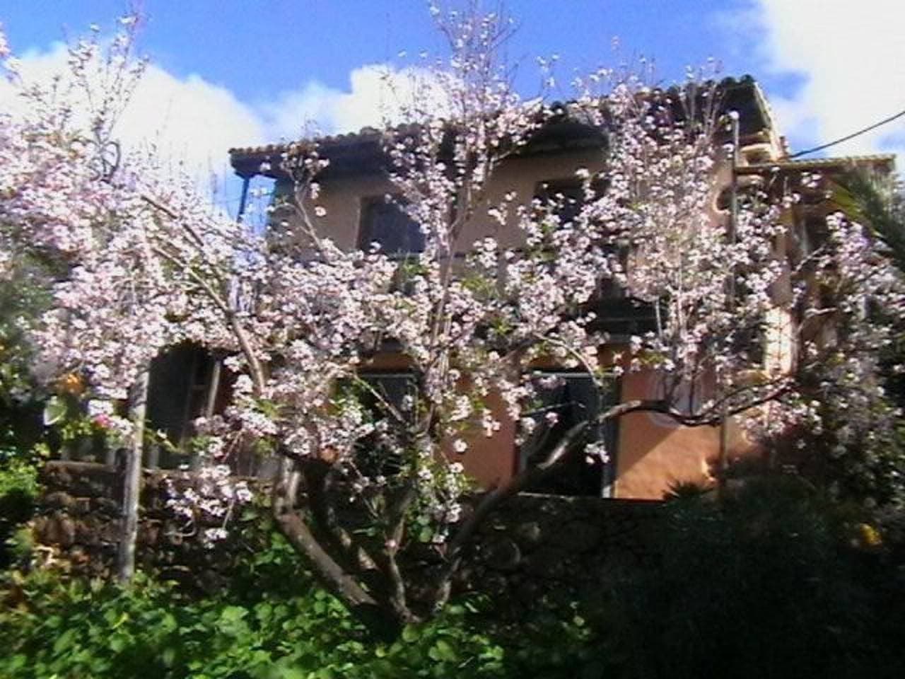 Bio Finca Los Hondos 1
