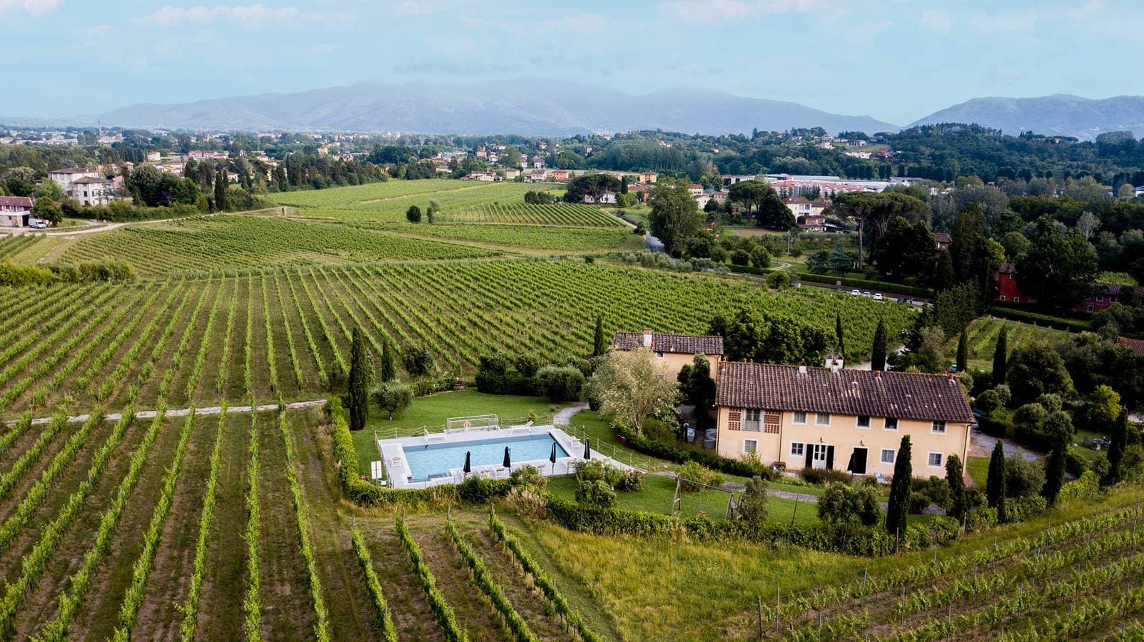 Foto 3 von 38: Anna Farmhouse Apartment in Wine Resort in Lucca