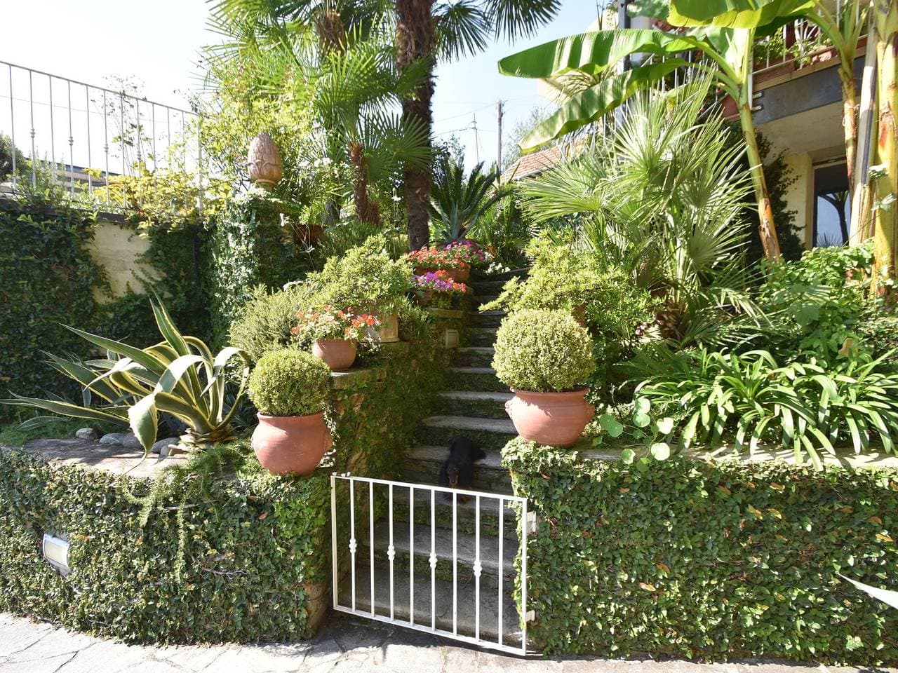 Foto 4 von 33: Chalet am Lago Maggiore mit Gartenblick