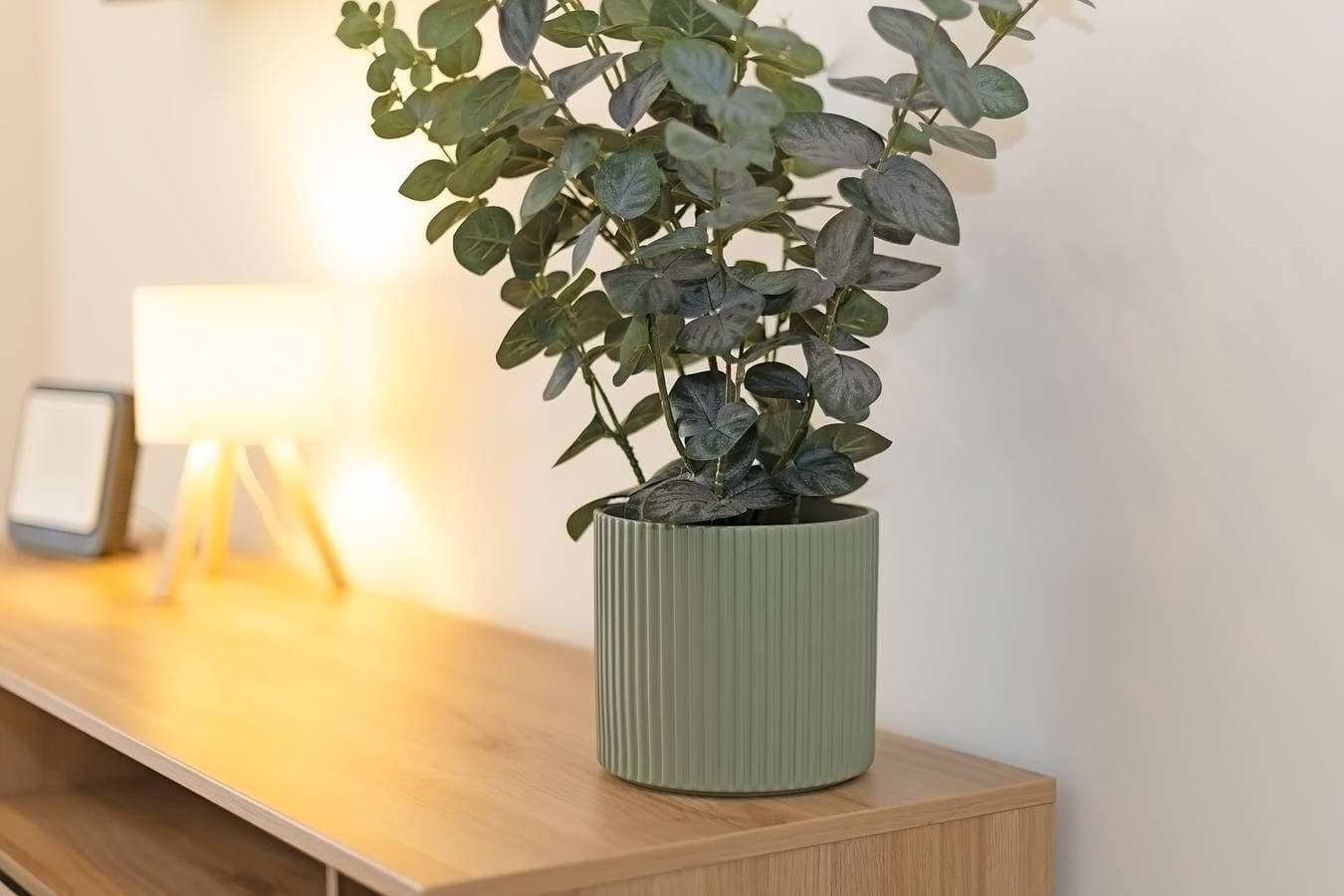 Foto 11 von 26: Ferienwohnung für 4 Personen