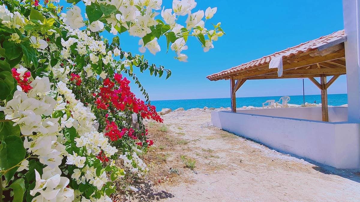 52 Men - Sea Gem Apartment 1