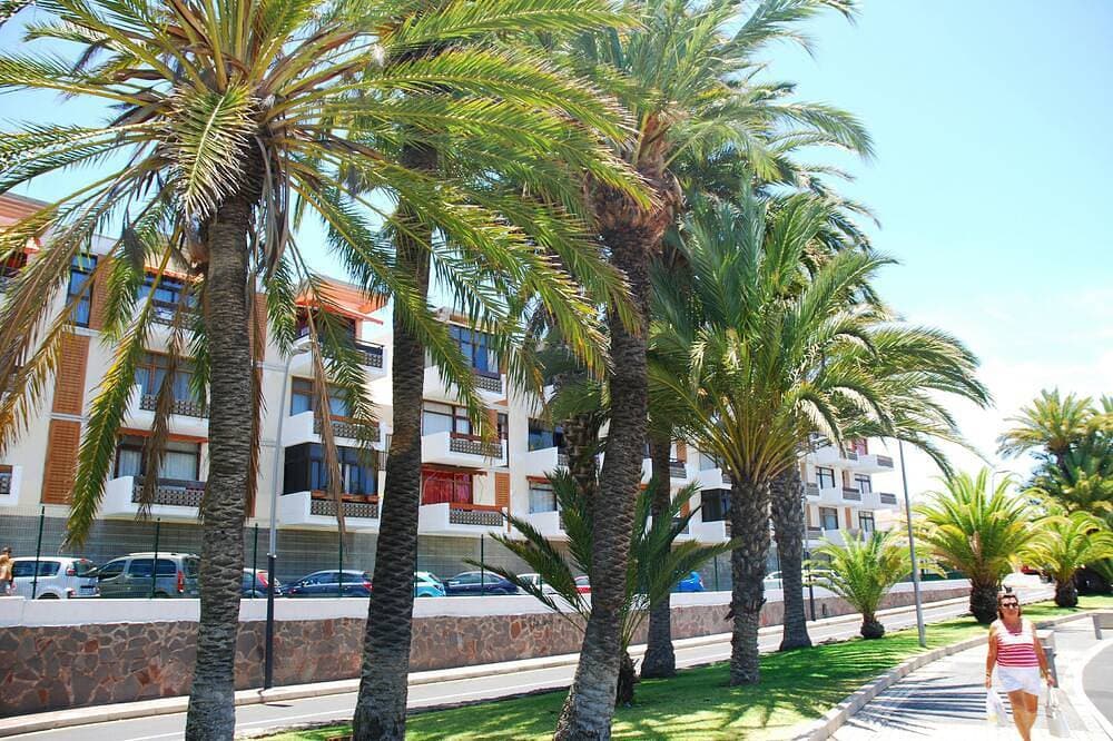 Foto 4 von 19: Las Americas, 2 Personen, WLAN, Pool, Meerblick Und Pool