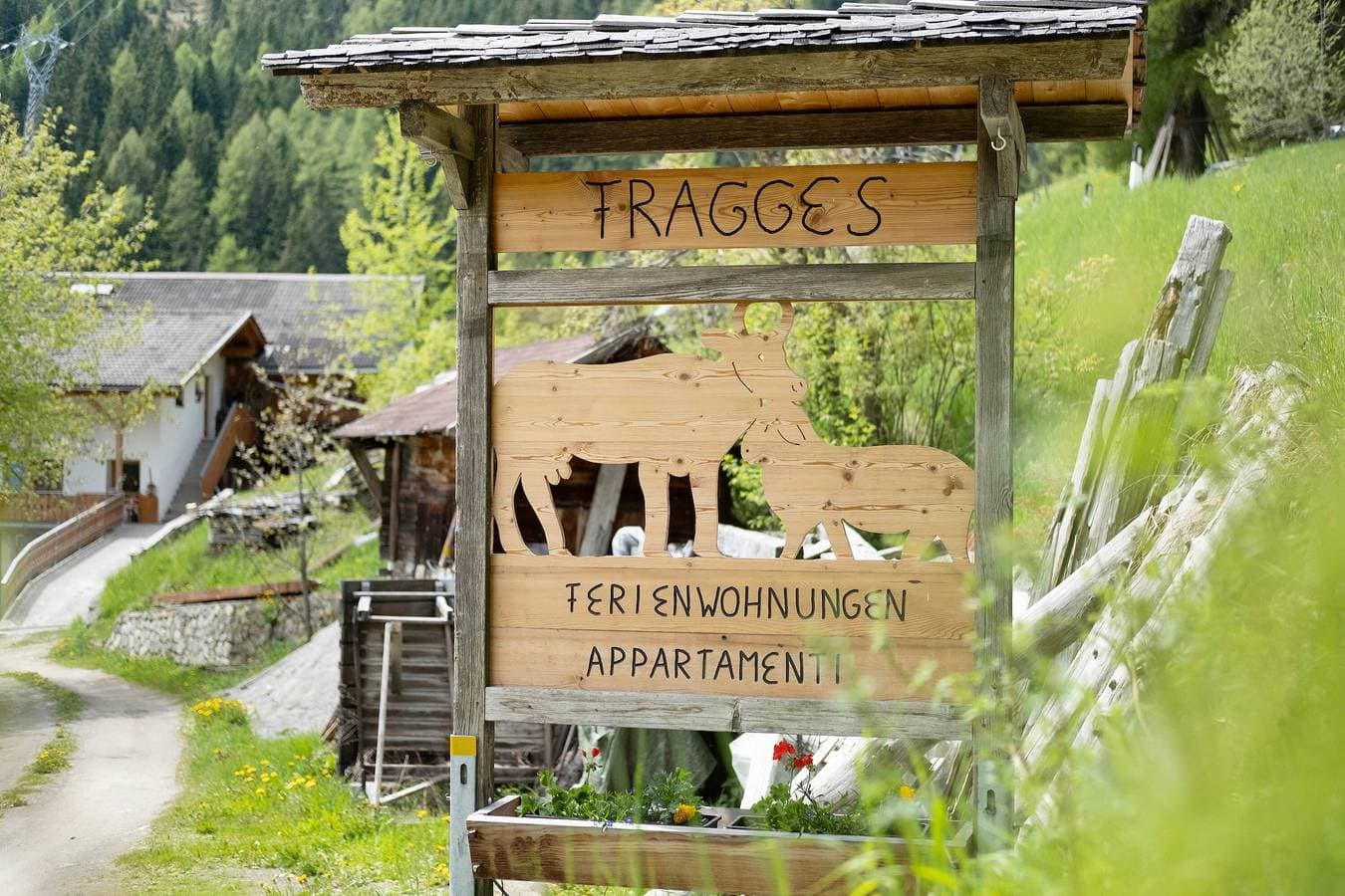 Foto 2 von 34: Ferienwohnung 'Fragges Spuldra' mit Bergblick, Balkon und Wi-Fi