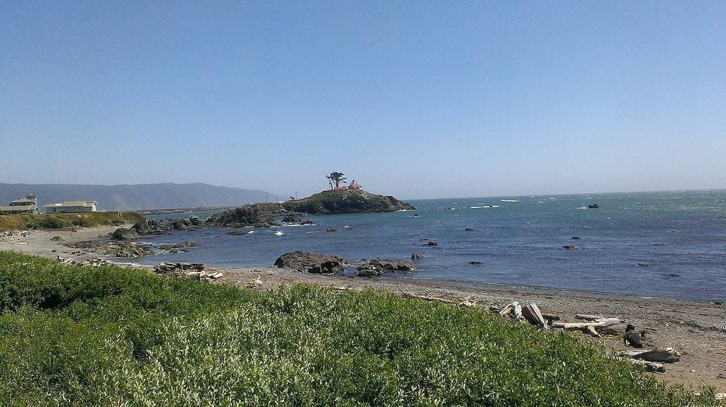 Foto 13 von 23: Coastal Cottage, weniger als einen Block zum Strand, Crescent City, Ca