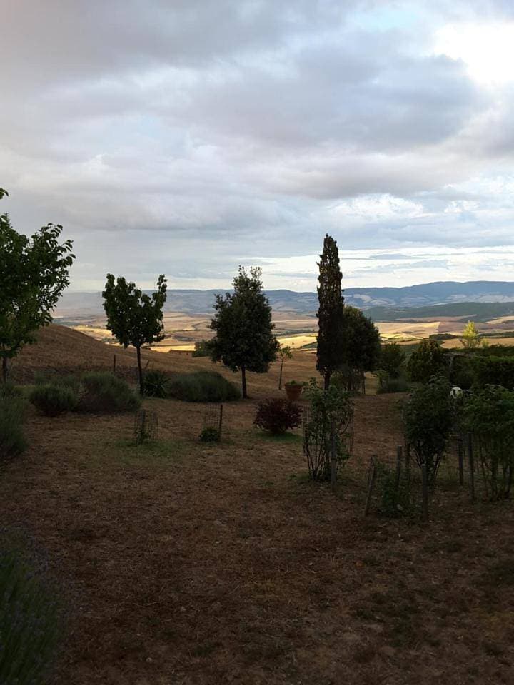 Foto 11 von 25: Apartment with Garden View