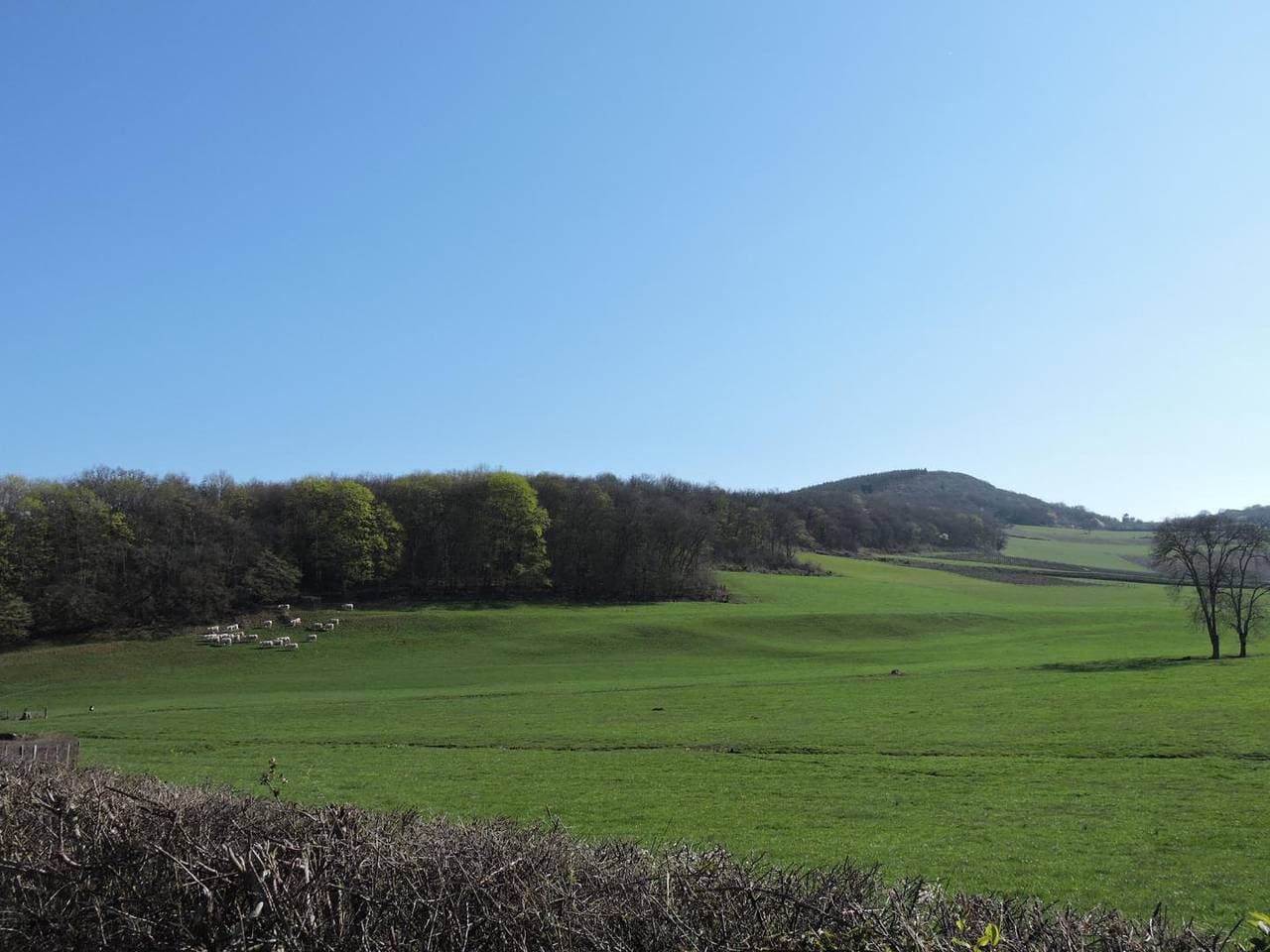 Foto 6 von 27: Le Clos