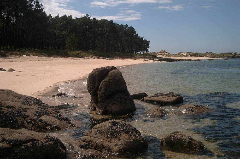 Wohnung Illa am Meer III 1