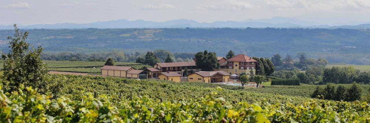 Tenuta Montebello 1