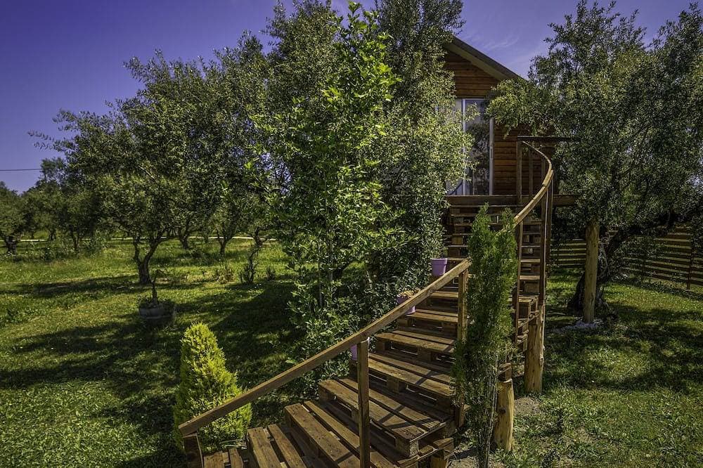 Terra Vine Collection - The Fairytale 1