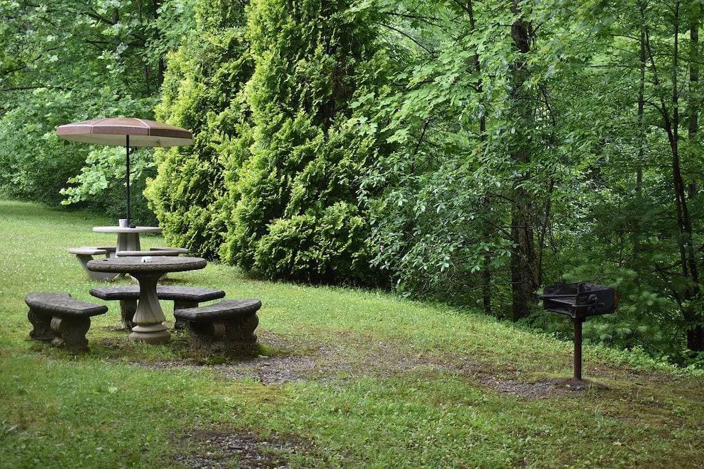 Foto 9 von 29: Hiawassee River Cabin $ 75 pro Nacht - Haustier freundlich