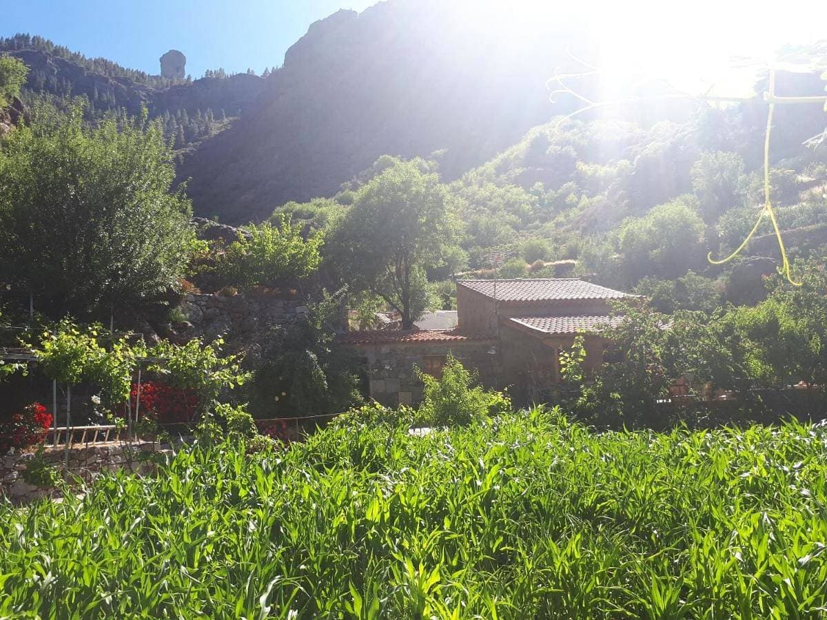 Casita el Parral 1